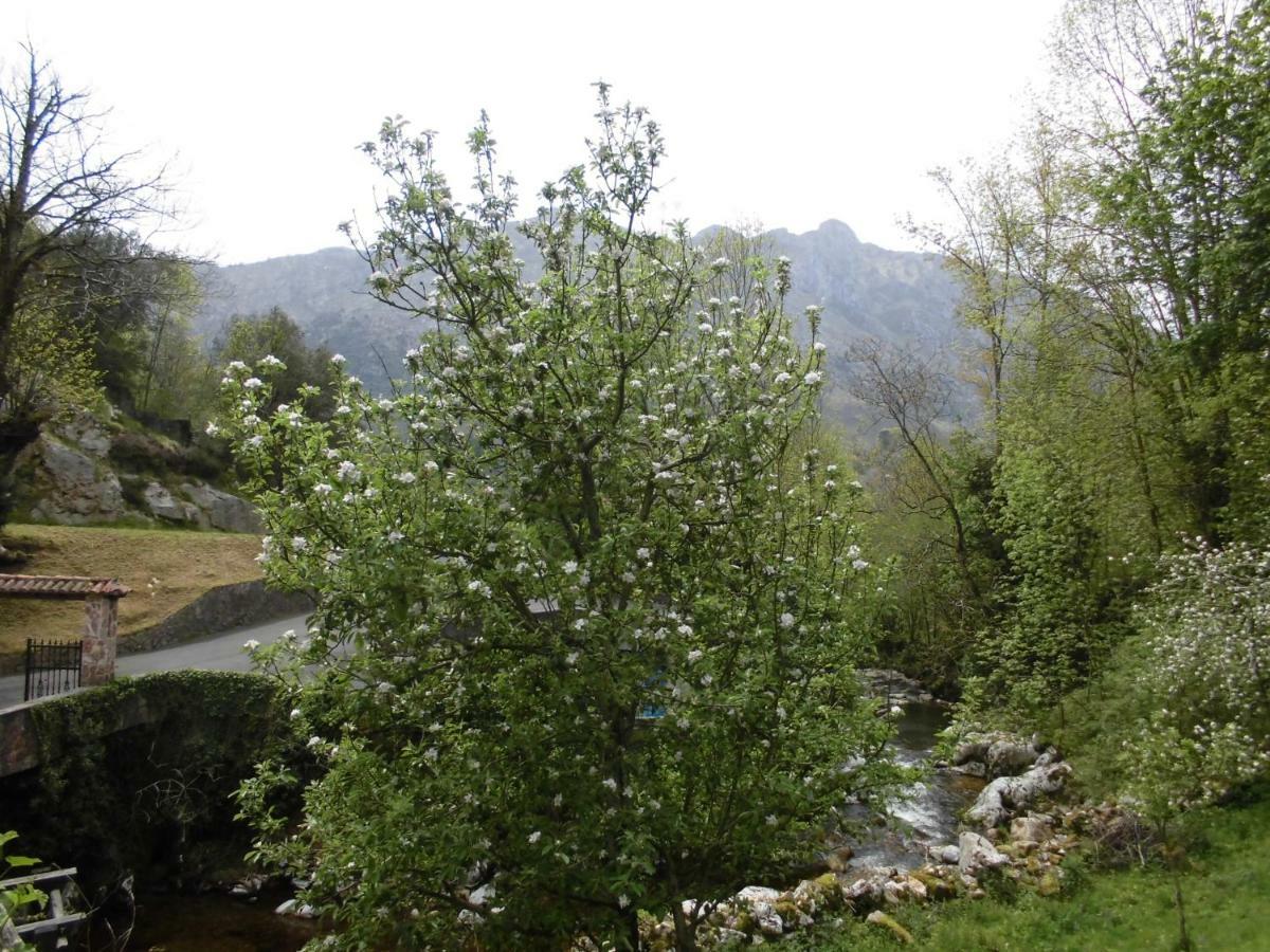 Hotel El Molino Arenas De Cabrales Esterno foto